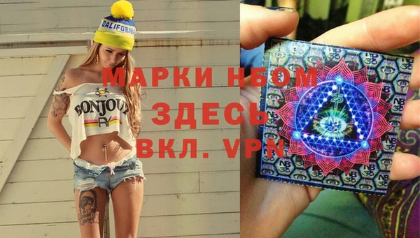 твердый Арсеньев