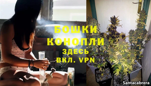 марки lsd Аркадак
